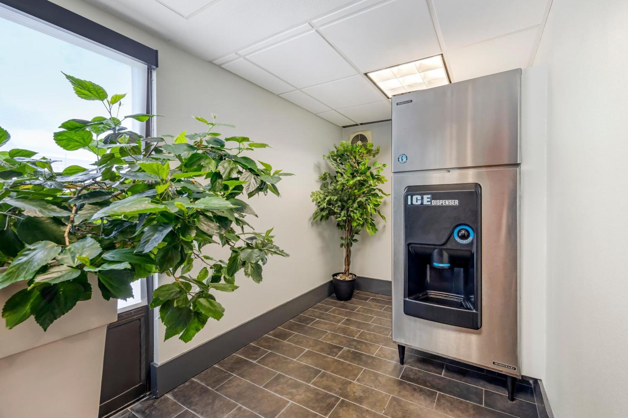 Holiday Inn Express & Suites Nashville Southeast - Antioch By Ihg Eksteriør billede